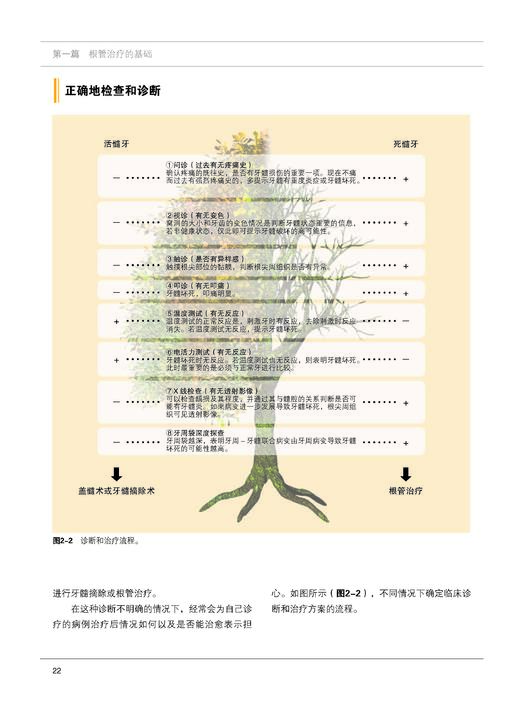 《根管治0疗失败的真实原因》 商品图1