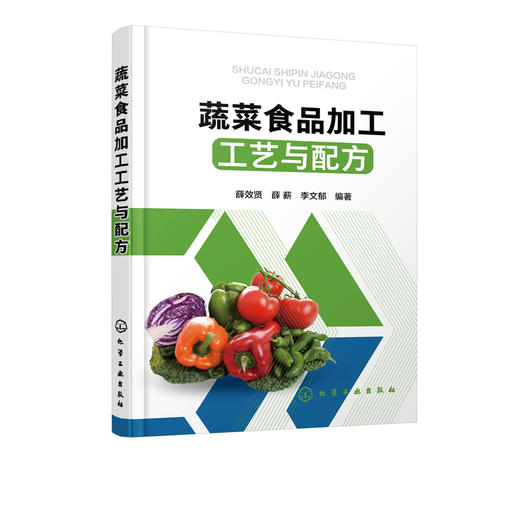 蔬菜食品加工工艺与配方 菜保鲜贮藏腌制酱制技术 蜜饯果脯罐头脱水干制工艺书速冻净菜食品干制盐渍糖渍饮料罐头食品加工技术书 商品图5