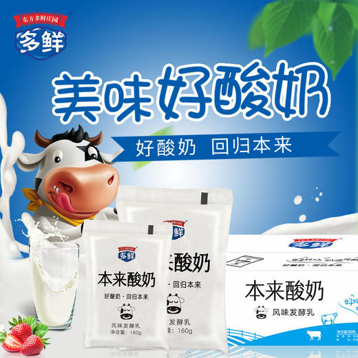 【秒杀】多鲜百利包透明袋本来酸奶160g*10袋/箱 商品图0