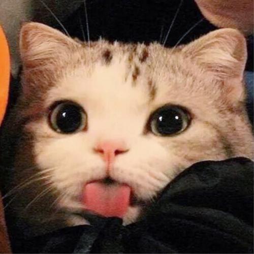 阿宇爱逛测试商品 商品图0
