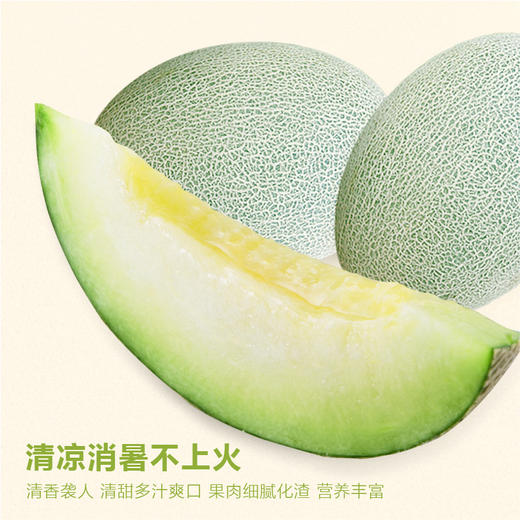 【预售发货延后】新疆巴楚留香瓜8-9斤 商品图5