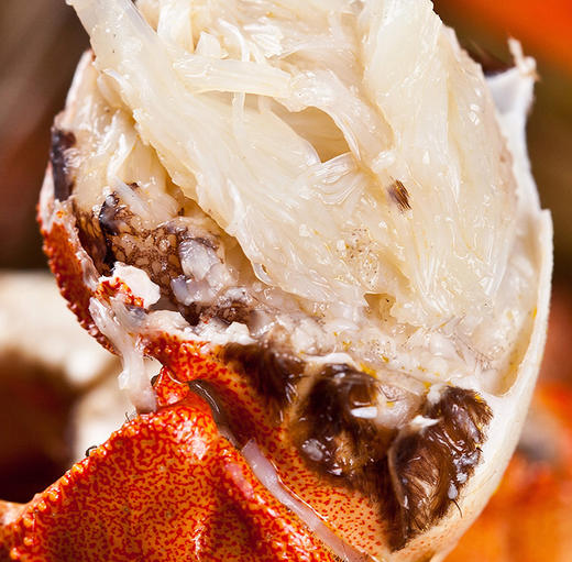 【蟹卡团购】送礼首选水鲜肴阳澄湖大闸蟹8只装鲜美黄满味甜 商品图3