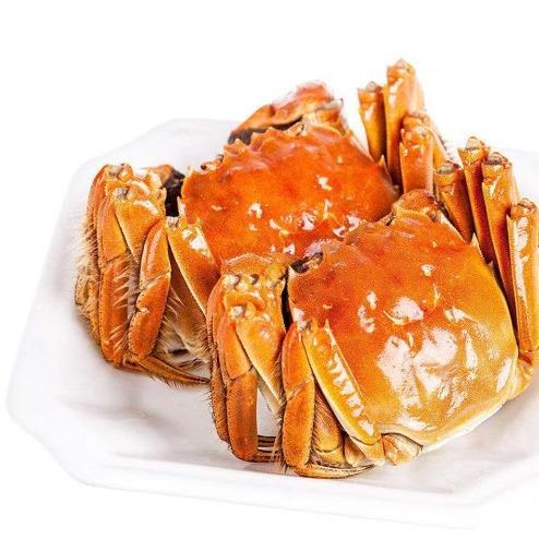 【蟹卡团购】送礼首选水鲜肴阳澄湖大闸蟹8只装鲜美黄满味甜 商品图1