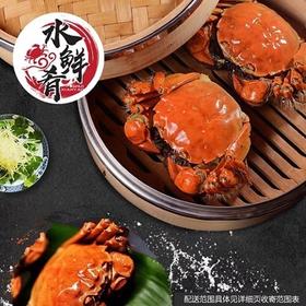 【蟹卡团购】送礼首选水鲜肴阳澄湖大闸蟹8只装鲜美黄满味甜