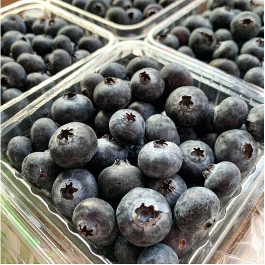 蓝莓（125g） 商品图2