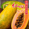 海南黄皮木瓜（450-550g*2个） 商品缩略图0