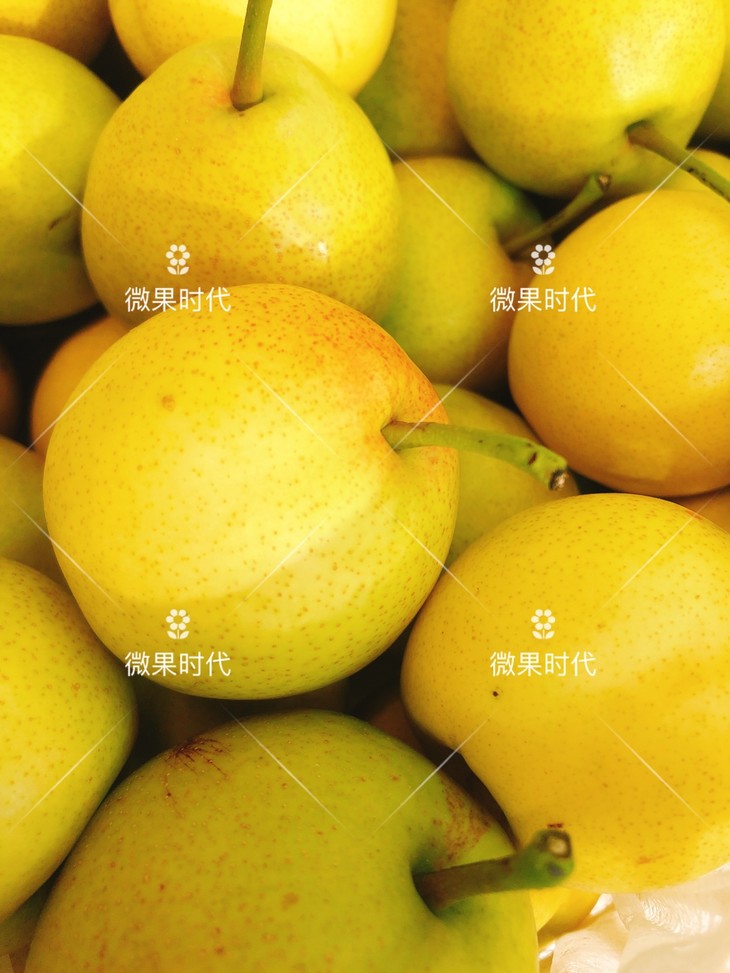 冰糖蜜梨三斤