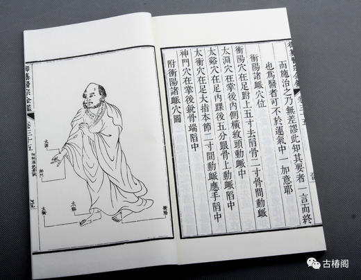 新书推荐：御纂医宗金鉴 商品图10