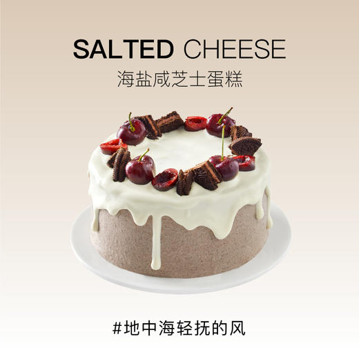 新品上新--海盐咸芝士（需提前24小时预订） 商品图0