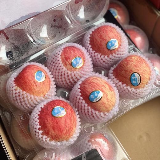 雪原苹果  6粒/盒 商品图0