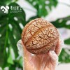 巧克力菠萝包（每日约10时出炉 巧克力脆脆馅儿） 商品缩略图0