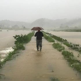  庚子之年，以粮之意，共以消忧 