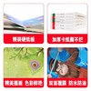 小笨熊奇妙洞洞书系列全套24册 物品食物 海洋花园 形状颜色 商品缩略图2