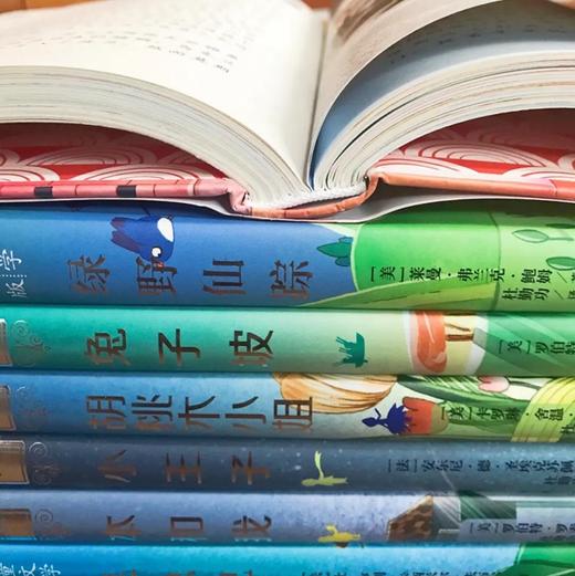 【6岁+】国际大奖儿童文学美图珍藏版 7 册！精美插图，环保印刷，小学课外阅读名著！ 商品图9