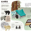 熊熊见面会 3-6岁 认识世界各地的熊动物科普百科图画书儿童认知 商品缩略图3