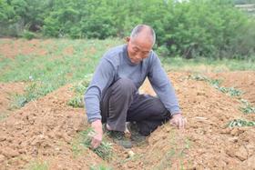  新农人故事 | 姑父：有一种陪伴叫看着你长大 