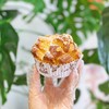 香柠发财树（每日约12时出炉） 商品缩略图0