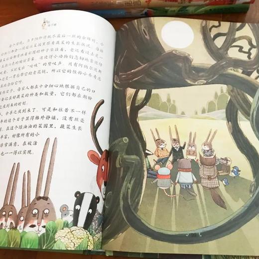 【6岁+】国际大奖儿童文学美图珍藏版 7 册！精美插图，环保印刷，小学课外阅读名著！ 商品图12