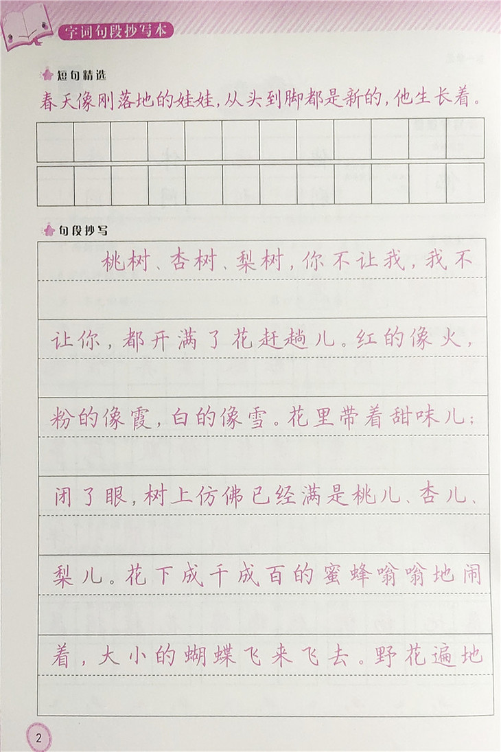 字词句段抄写本七年级上册部编版字帖