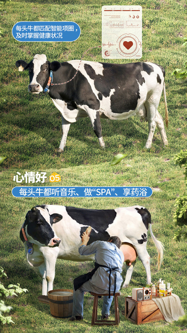 【认养一头牛纯牛奶】12盒*2箱装,百分百纯牛奶:自家农场出品,安全无