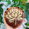 红酒提子（隔天做 下午约17时出炉） 商品缩略图0