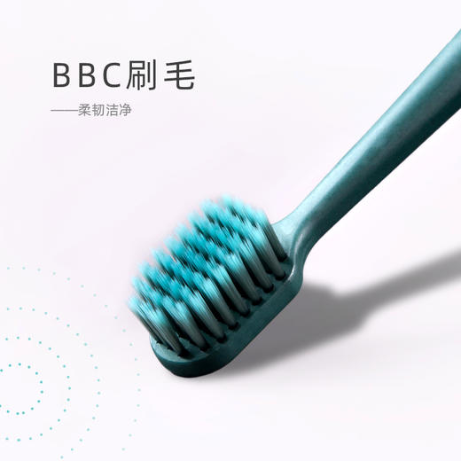 【韩国进口刷毛 柔韧高质感】BBC软毛牙刷 火山碳灰尖毛 不含荧光剂不伤牙龈宽头设计 磨砂杆双支彩盒装 小牛历险记 商品图6