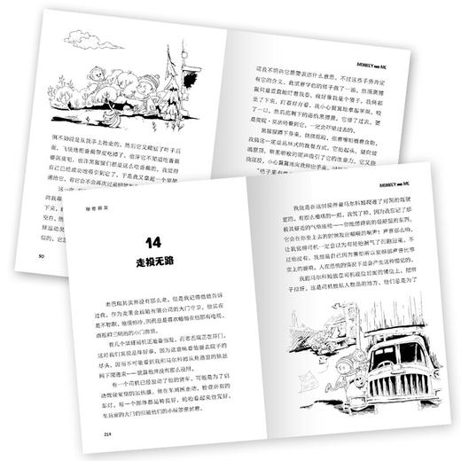 海豚传媒 出版直发《知更鸟·大奖大师书系：秘密朋友》([英]大卫·吉尔曼) 商品图4