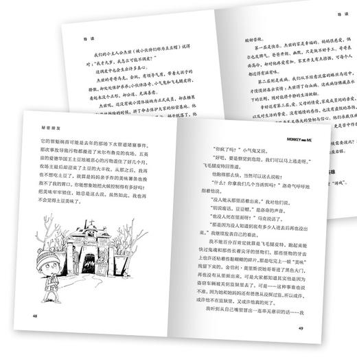 海豚传媒 出版直发《知更鸟·大奖大师书系：秘密朋友》([英]大卫·吉尔曼) 商品图5