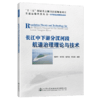 长江中下游分汊河段航道治理理论与技术 商品缩略图4
