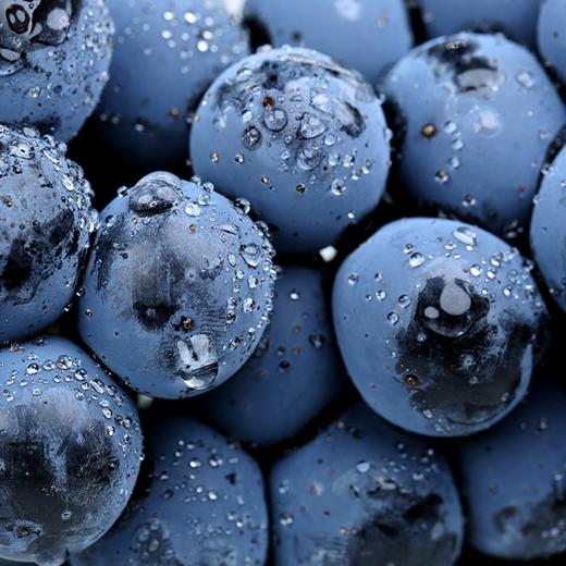 夏黑葡萄 净重5斤 商品图2