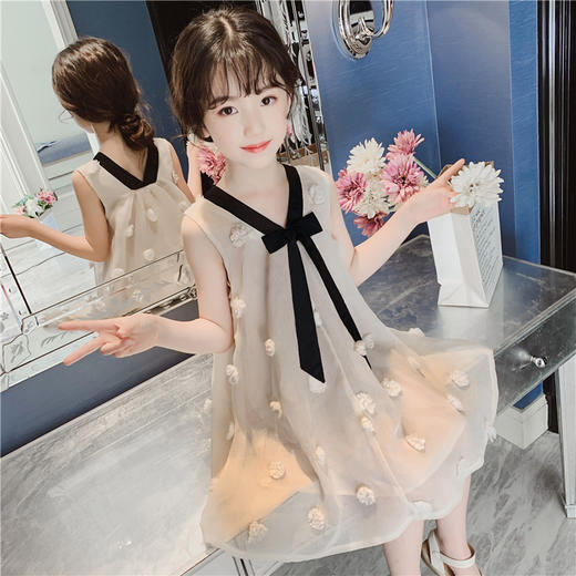 SY-TX95193夏季新款韩版儿童裙女孩洋气公主裙 商品图3