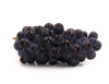 夏黑葡萄（约500g) 商品缩略图0