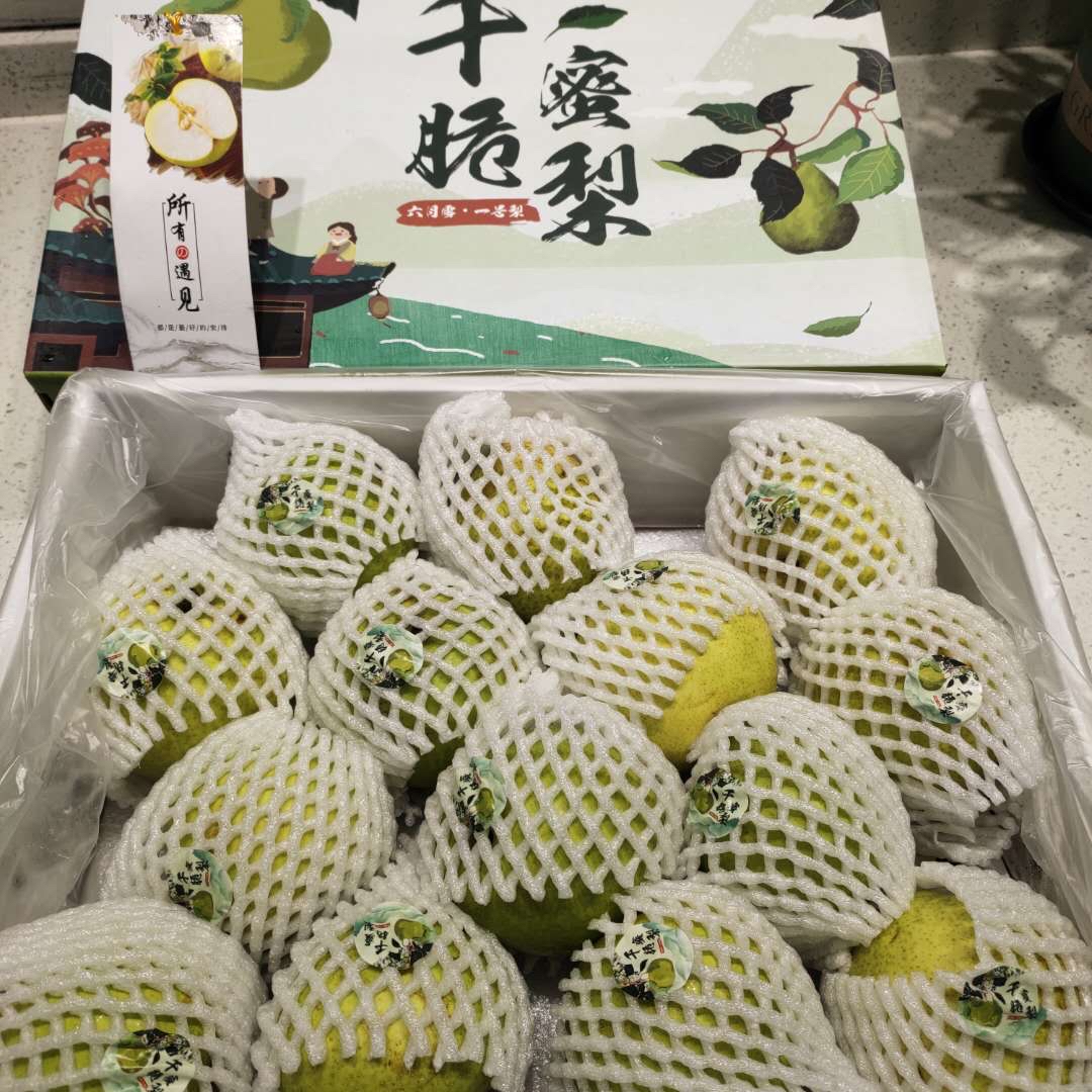 千脆蜜梨 原箱约6斤/13-15颗 新鲜脆甜多汁 绿皮青梨