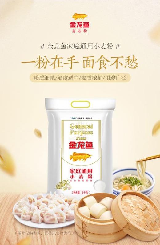金龙鱼小麦粉5kg（0100891） 商品图0