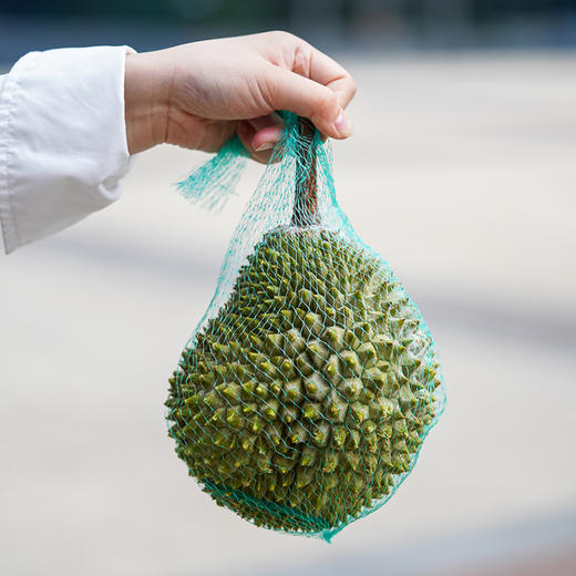 猫山王·榴莲果肉 整只榴莲，液氮急冻，冷链到家 商品图1