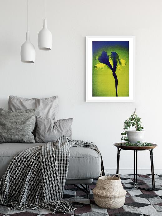 王小慧花之灵摄影装饰画 026 商品图1