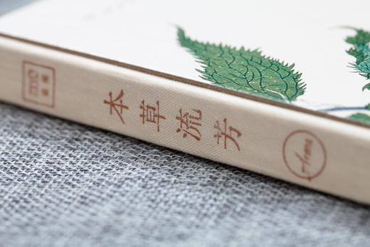 本草流芳（精选100种芳香的本草植物， 淡淡幽香、唯美形态，感受本草的纯粹。） 商品图4