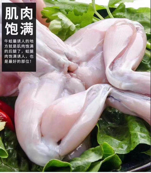 杰克船长牛蛙1000g/袋 商品图1