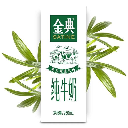 伊利金典纯牛奶250ml 商品图0