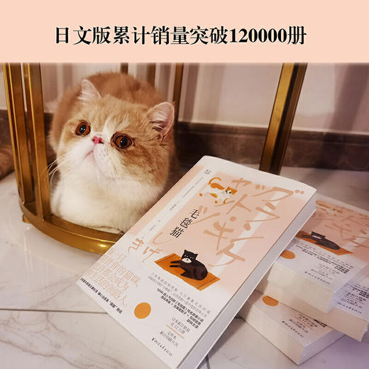 毛毯猫 重松清著  NHK超人气日剧 日本租猫铲屎官的吸猫故事NHK人气日剧《毛毯猫》同名原著小说日本暖心治愈短篇小说集 商品图1