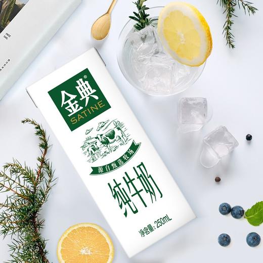 伊利金典纯牛奶250ml 商品图3