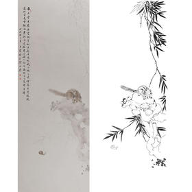 王震竖幅工笔没骨花鸟画白描底稿-松鼠《偶有苏君顾》-多种白描尺寸可选-WZ54