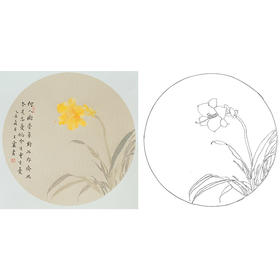 王震工笔没骨花鸟小品画白描底稿《本是忘忧物》多种白描尺寸可选-WZ39