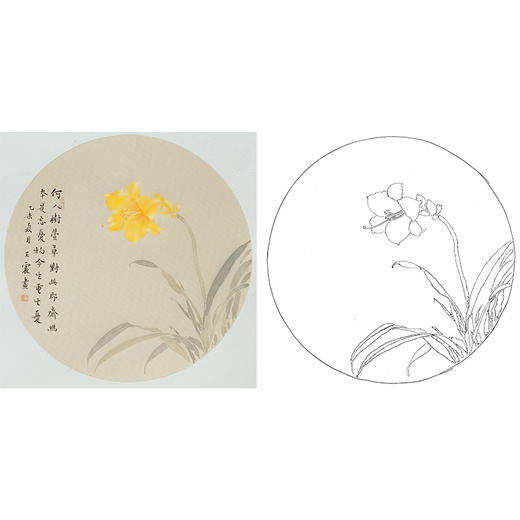 王震工笔没骨花鸟小品画白描底稿《本是忘忧物》多种白描尺寸可选-WZ39 商品图0