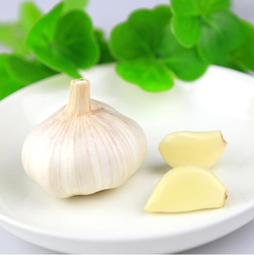 【调味佐料】大蒜头300g±10g 商品图2