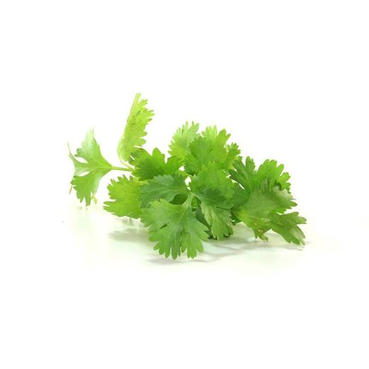 香菜 约250g/份 商品图2