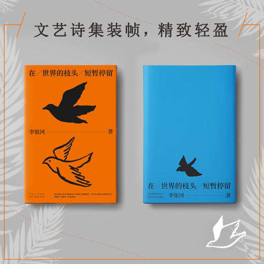 在世界的枝头短暂停留 李银河著 中国现当代文学散文随笔 图书 商品图1