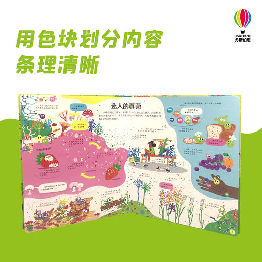 揭秘微生物 商品图2