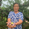 【应季上新】脆红李 半边红李子 茵红李脱骨空心李子 青李子 新鲜水果 现摘现发 新鲜到家 商品缩略图1