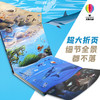 揭秘蔚蓝大海 商品缩略图1